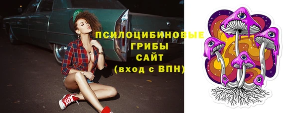 сатива Дмитров