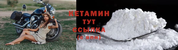 сатива Дмитров