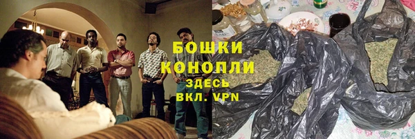 прущая мука Дмитриев